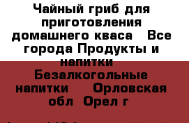 Чайный гриб для приготовления домашнего кваса - Все города Продукты и напитки » Безалкогольные напитки   . Орловская обл.,Орел г.